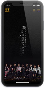 高端网站定制